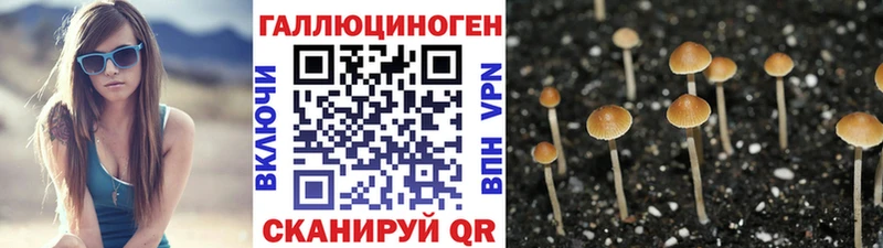 площадка Telegram  Сковородино  Галлюциногенные грибы мухоморы 